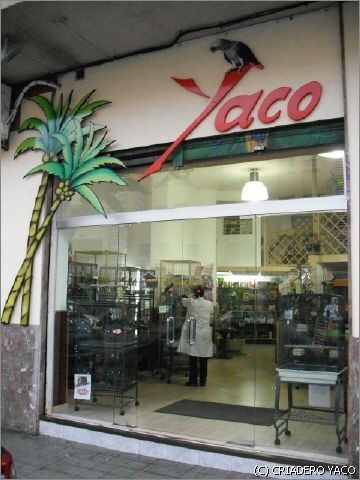 Escaparate