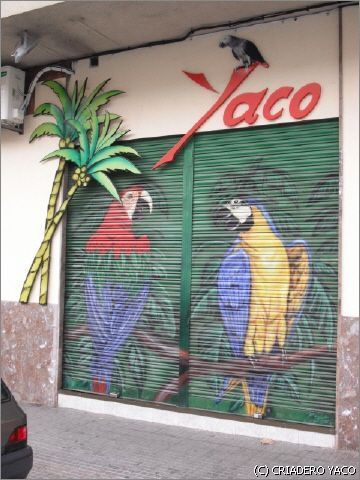 Grafiti
