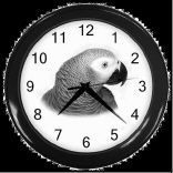 yaco reloj